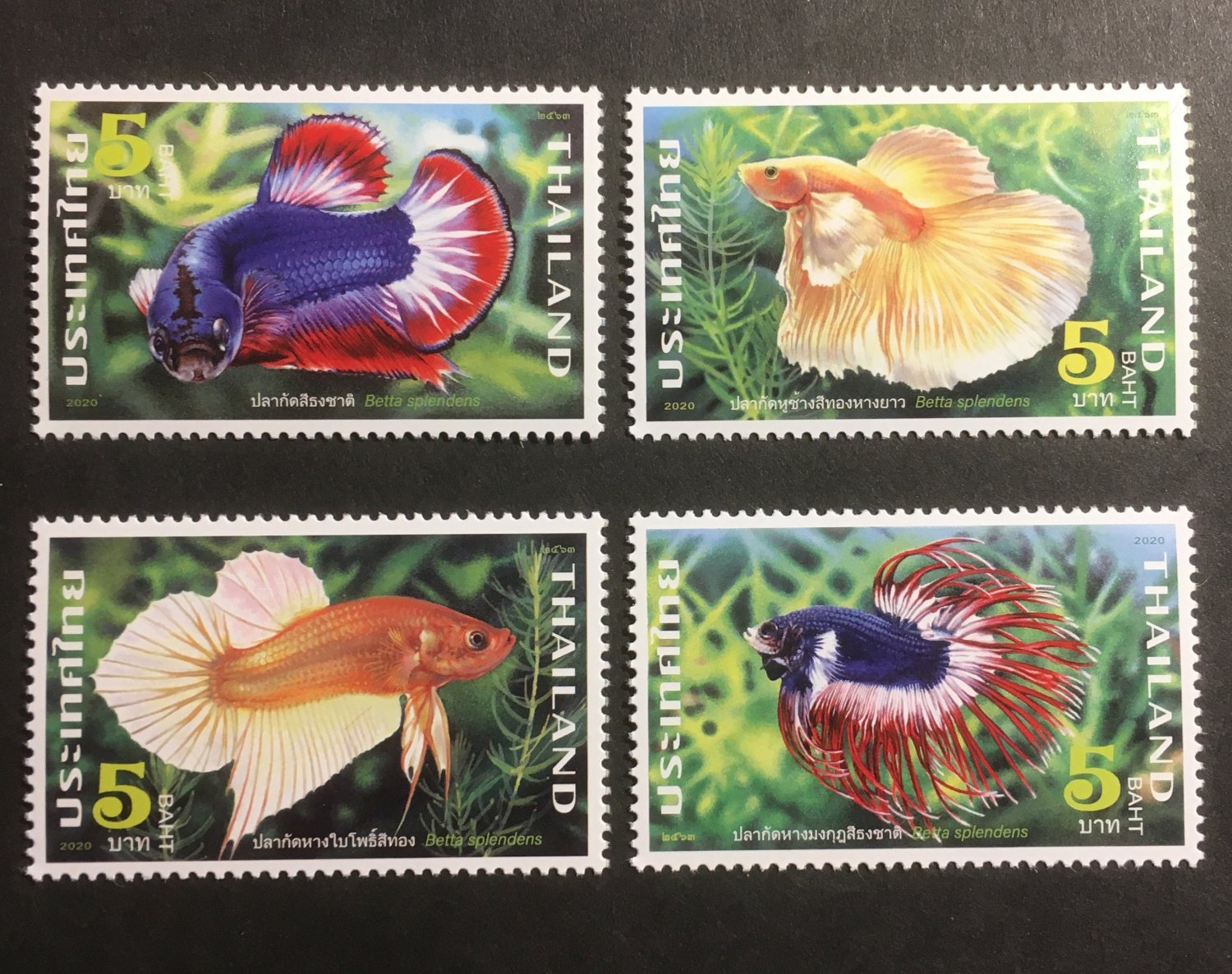 Fighting Fish MNH Set of 4 Stamps 2021 Thailand Betta Splendens