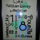 Personalized Baby Birth Statistics Frame