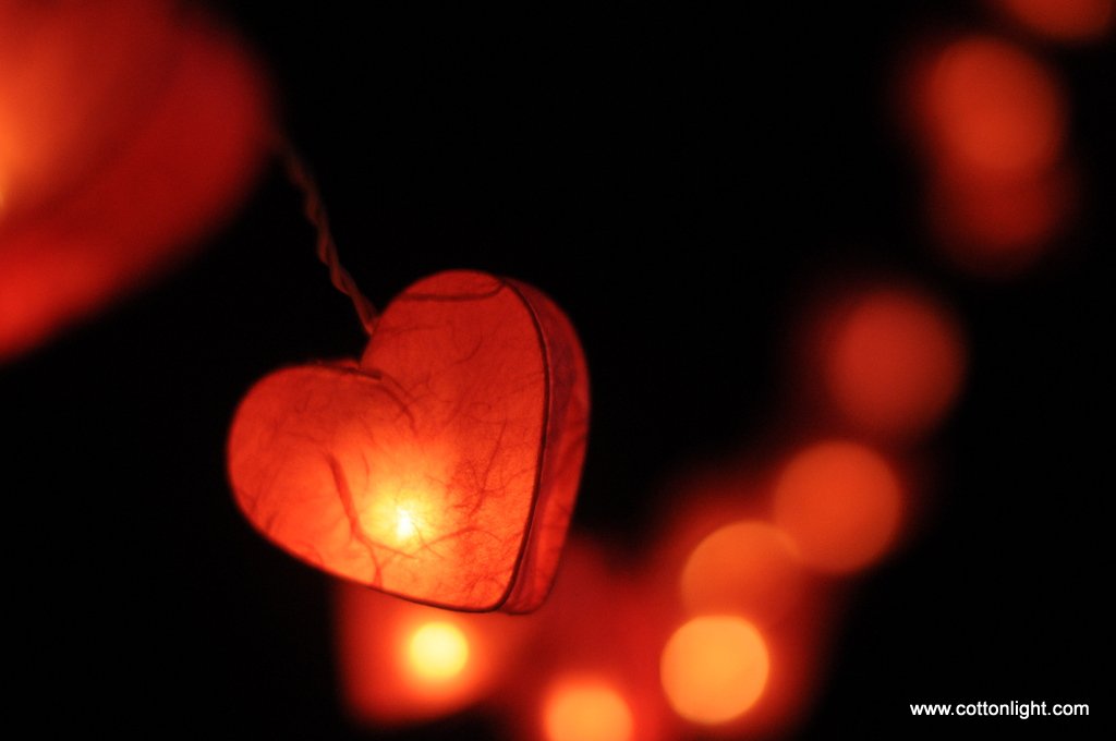 Heart String Lights White (20 Lights)
