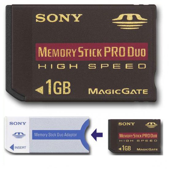 SONY 1 GB Memory Stick PRO Duo for CyberShot DSC Models