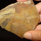 PICTURE JASPER SLAB FOR CABBING/LAPIDARY 20120903