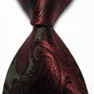 New Pulm Paisley JACQUARD WOVEN Men's Tie Necktie