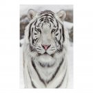 Siberian Tiger Wall Art Poster 23" x 36"