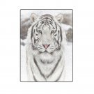 Siberian Tiger 'One Layer' Fleece Blanket (Large) 58"x80"