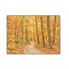 Autum Forest 'One Layer' Fleece Blanket (Large) 58"x80"