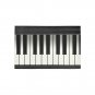 Piano Tuts Area Rug size 60"x 39"