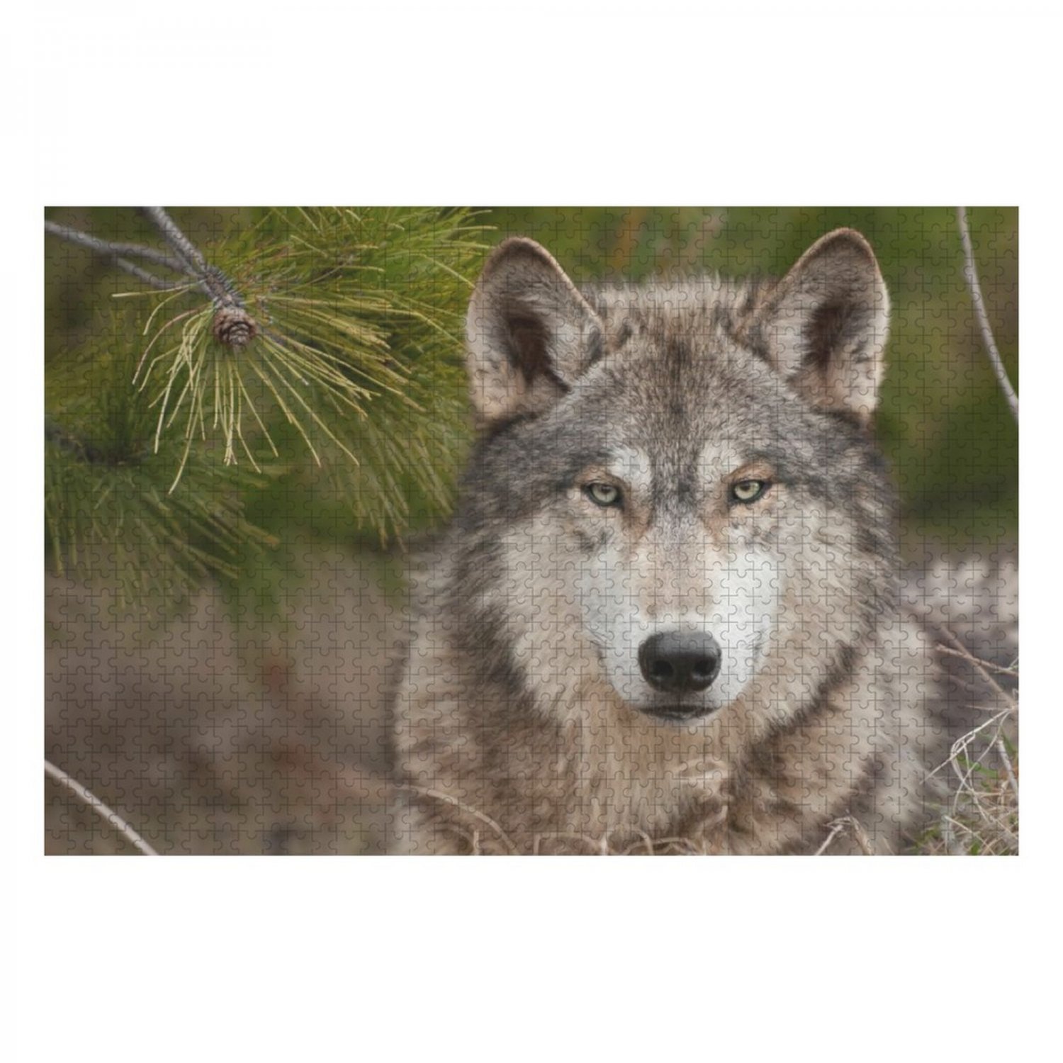 Gray Wolf Wooden Photo Puzzle (1000 Pieces)