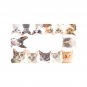 Cats Doormat (Rubber)