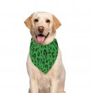 Riddle Riddler Green Questions Pet Dog Bandana