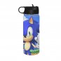 Blue Hedgehog Water Insulated Bottles With Straw Lid (18 OZ)