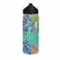 Irises Van Gogh Water Insulated Bottles With Straw Lid (18 OZ)