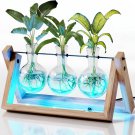 Light Up Bamboo Air Planter
