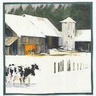 COWS IN WINTER HEAD FOR THE BARN