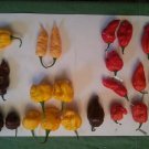 Superhot Pepper Pods