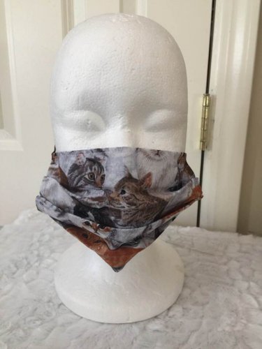 Face Covering - Cats - Face Mask