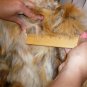 Hooded Red Fox Sectional Fur Coat (#23)