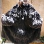 Black Fox?? Fur Coat (#79)