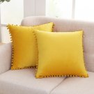 Gomez Pillow Cover (Set of 2)