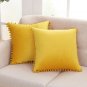 Gomez Pillow Cover (Set of 2)