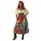 Fortune Teller Elite Collection Adult Costume