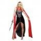 Scandalous Sword Warrior Costume