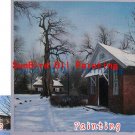 Oil Painting-Custom original oil portrait painting from your photos-Hand painted paintings on canvas