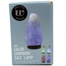 Wayland Square LED Color Changing Salt Lamp