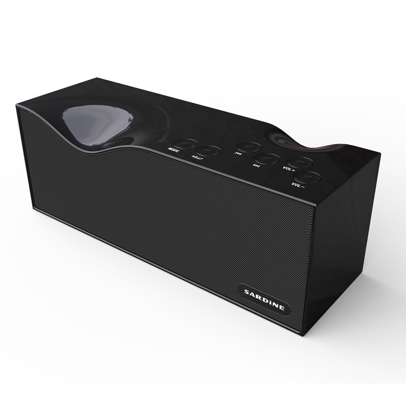 Sardine Portable Mini Subwoofer Stereo HIFI Wireless LED Bluetooth Speaker with FM Radio (Black)