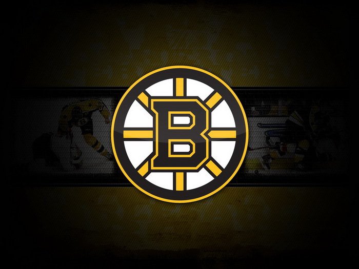 Boston Bruins Logo NHL 32x24 Print Poster