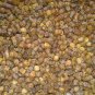 450 g / 1 pound Bee Bread, FREE SHIPPING, ( Perga, Bienenbrot, ambrosia )