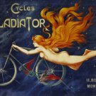 Cycles Gladiator