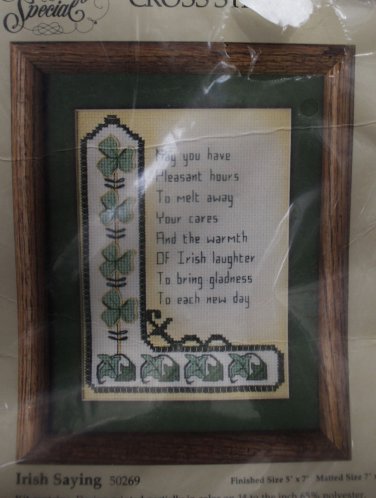 Something Special Colored Counted Cross Stitch Irish Saying # 50269  1986