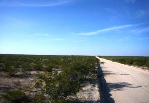WEST TEXAS -  DELL GARDEN ESTATES!