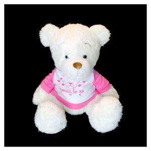Teddy Bear2