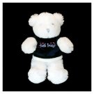 Teddy Bear4