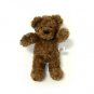 Teddy Bear5