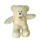 Teddy Bear6