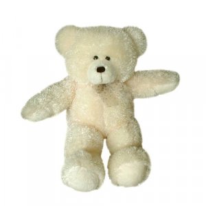 Teddy Bear6