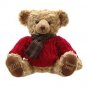 Teddy Bear9
