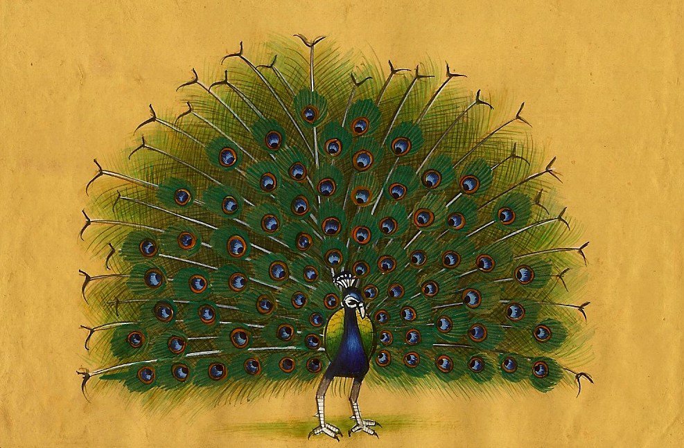 Amazing Dancing Peacock Mughal Times Paniting Make From Natural Color