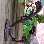 Rustic Weathered Cast Iron Ivy Vine Flower Pot Hook Wall Planter Hanger Plant Holder Rust