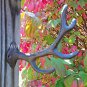 Cast Iron Distressed Rustic 4 Point Deer Antler Wall Mount Hook Rack Hunting Trophy Prop
