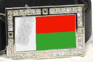 MADAGASCAR Malagasy FLAG BLING ICED OUT CZ -FREE BELT- BUCKLE