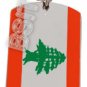 LEBANON LEBANESE Flag Dog Tag DOGTAG Silver Charm