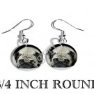 PUG DOG ADORABLE PHOTO FISH HOOK CHARM Earrings