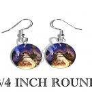 WIZARD SPELL FANTASY PHOTO FISH HOOK CHARM Earrings