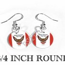 Alabama-Quassarte INDIAN Flag FISH HOOK CHARM Earrings