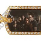 Iced Out CZ Gold TWILIGHT GROUP Photo Dog Tag BLING CHARM