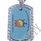 DELAWARE AMERICAN INDIAN FLAG Iced Out CZ BLING Dog Tag