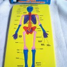 Anatomic Puzzle - The Body - The Skelton